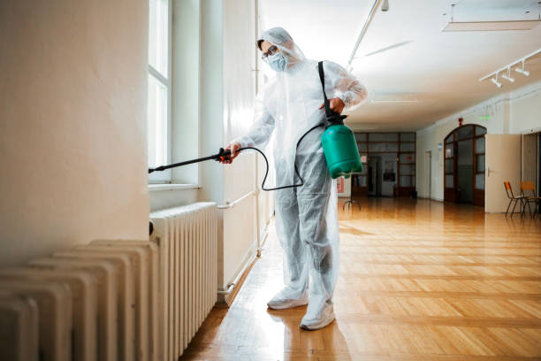 Reliable Elmwood Park, NJ Pest Control Solutions